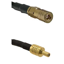 fieldcomponents202607171949551851226