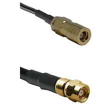 fieldcomponents202607172000371853648