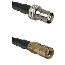 fieldcomponents202607172015131856778