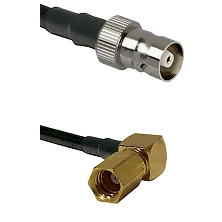 fieldcomponents202607172029191859974