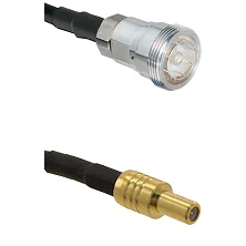 fieldcomponents202607172154441877834