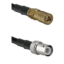 fieldcomponents202607172203351879713