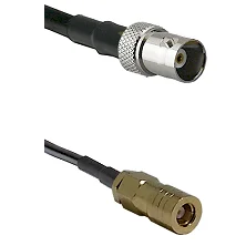fieldcomponents202607172249331886801