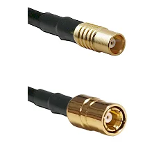fieldcomponents202607172332181893901
