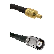 fieldcomponents202607172357541898335