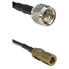 fieldcomponents202607180002471899182