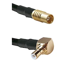 fieldcomponents202607180124101914338