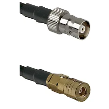 fieldcomponents202607180210051923910