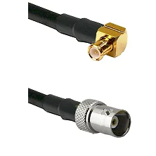 fieldcomponents202607180330571940916