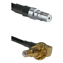 fieldcomponents202607180406311948503