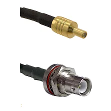 fieldcomponents202607180408041948829