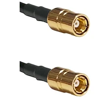fieldcomponents202607180437101954877