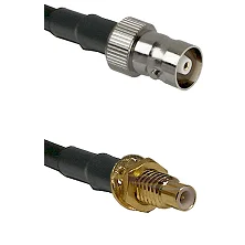 fieldcomponents202607180539381968467