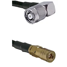 fieldcomponents202607180638481980938