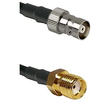 fieldcomponents202607180707471987458