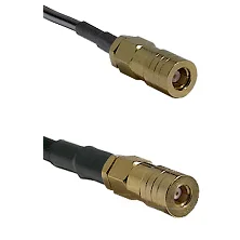 fieldcomponents202607180719121990017