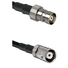 fieldcomponents202607180736321993890