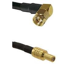 fieldcomponents202607181228572064467