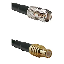 fieldcomponents202607181231522065188