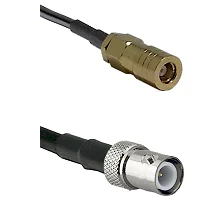 fieldcomponents202607181241502067699