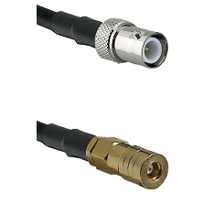 fieldcomponents202607181250002069692