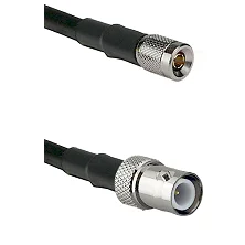 fieldcomponents202607181354382087049