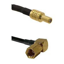 fieldcomponents202607181410512091765