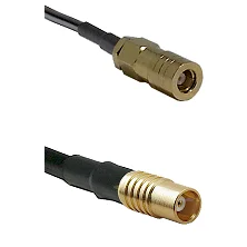 fieldcomponents202607181739352146891
