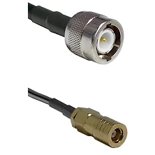 fieldcomponents202607182052302196674