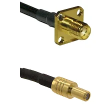 fieldcomponents202607182159242211248