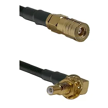 fieldcomponents202607182313452229533