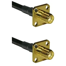 fieldcomponents202607182354442239534