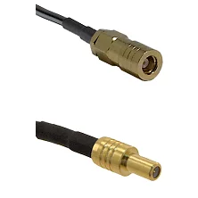 fieldcomponents202607190000182240735