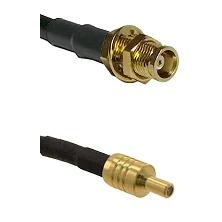 fieldcomponents202607190017562244645