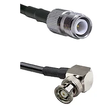 fieldcomponents202607190021302245407