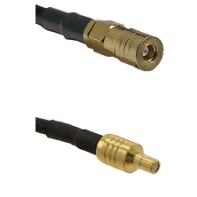 fieldcomponents202607190030022247361
