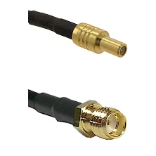 fieldcomponents202607190038292249336