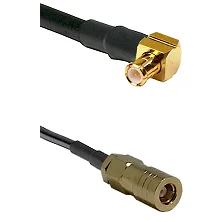 fieldcomponents202607190049212252025