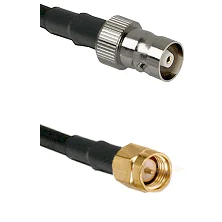 fieldcomponents202607190130292261534