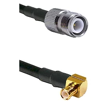fieldcomponents202607190135032262541