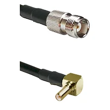 fieldcomponents202607190144172264583