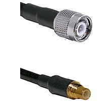 fieldcomponents202607190149462265841
