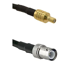 fieldcomponents202607190150362266039