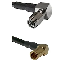 fieldcomponents202607190217302272077