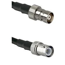 fieldcomponents202607190246092278856