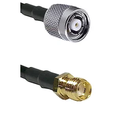 fieldcomponents202607190246332278969