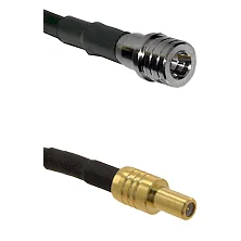 fieldcomponents202607190246492279040