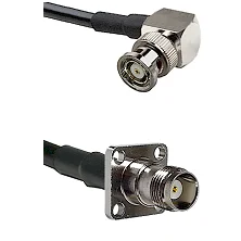 fieldcomponents202607190303082283626