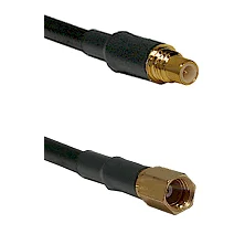 fieldcomponents202607190315522287418