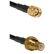 fieldcomponents202607190317572288043